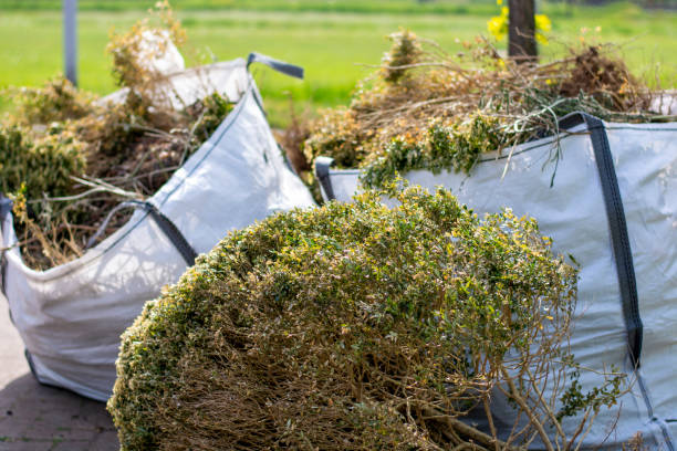 Best Dumpster Rental Services  in Berkeley Lake, GA